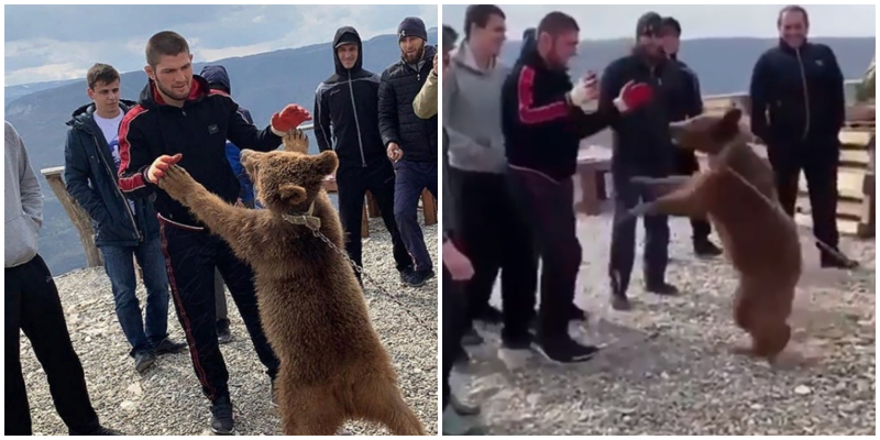 "Друзей не держат на цепи": пользователи сети возмущены отношением Хабиба к медвежонку