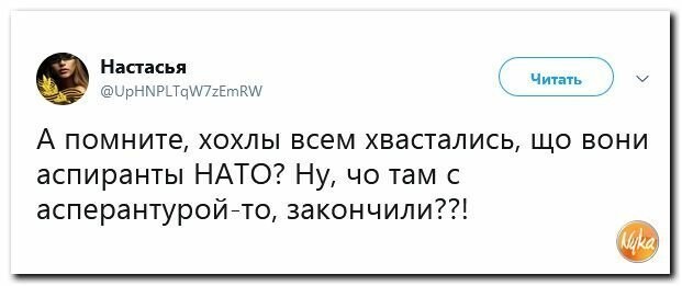 Политические картинки
