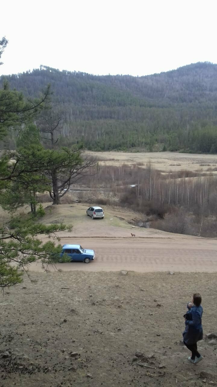 Пока корячились спускались ,такса уже проходящие машины гонять взялась