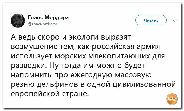 Политические картинки