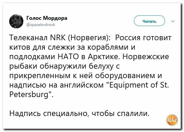 Политические картинки