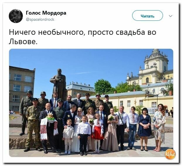 Политические картинки