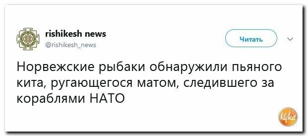 Политические картинки