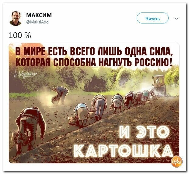 Политические картинки