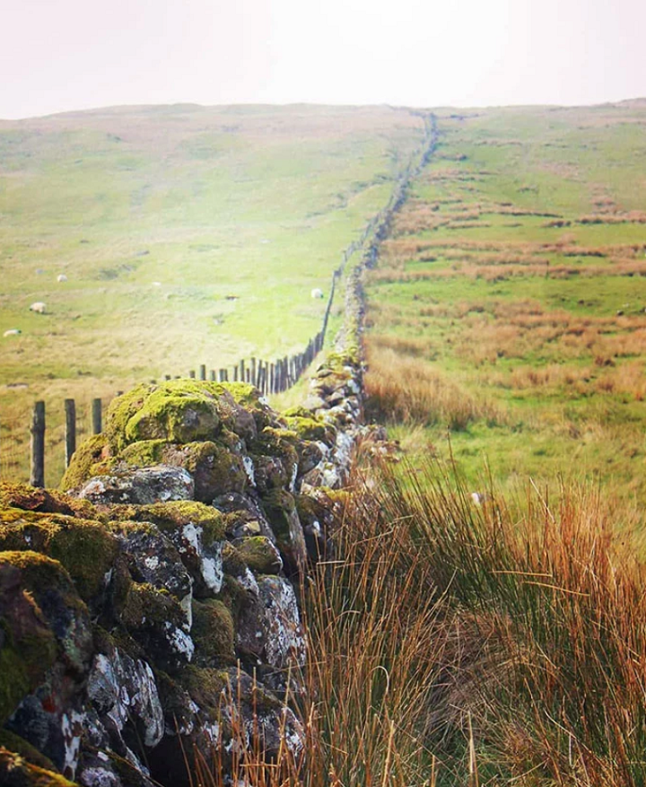 37. Каменная стена у горы Ноклейд, Северная Ирландия