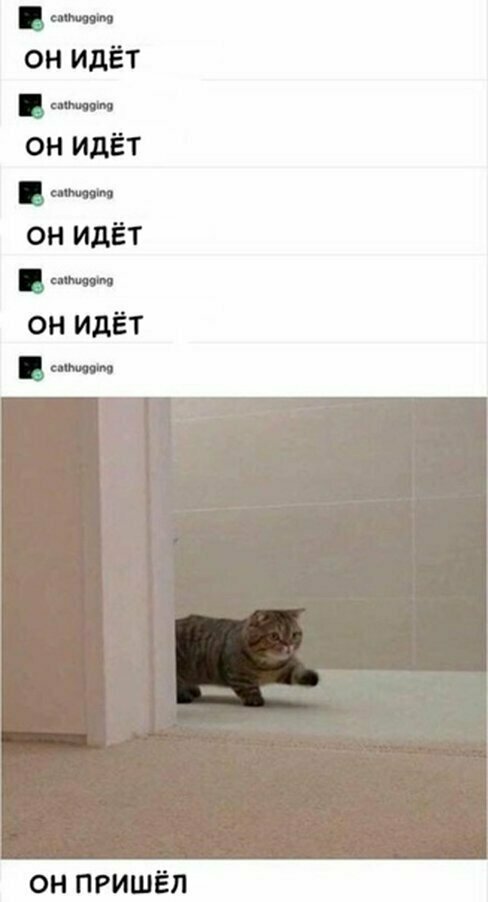 Улыбайся!