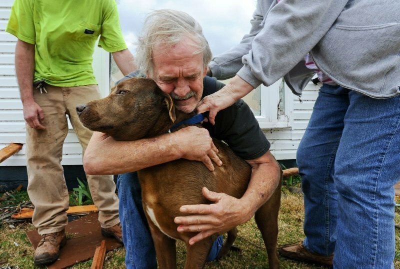 Торнадо разрушил дом старика, но его пес спасся