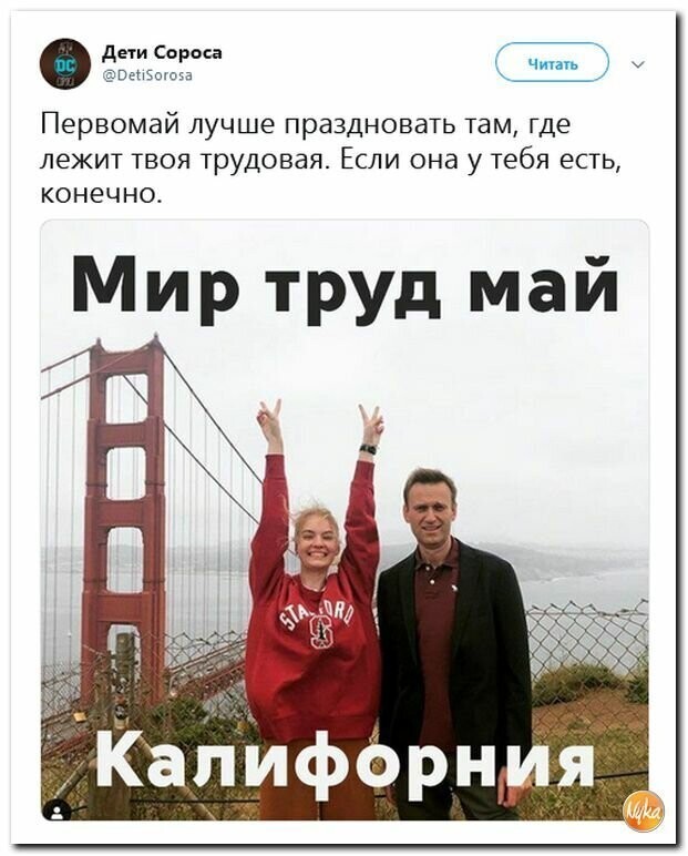 Политические картинки