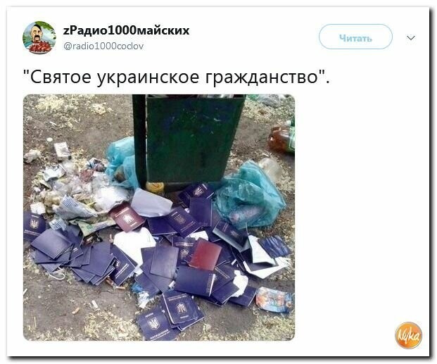 Политические картинки