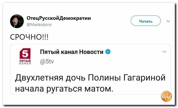 Политические картинки