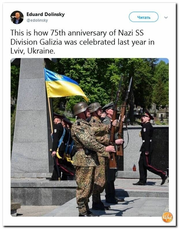 Политические картинки
