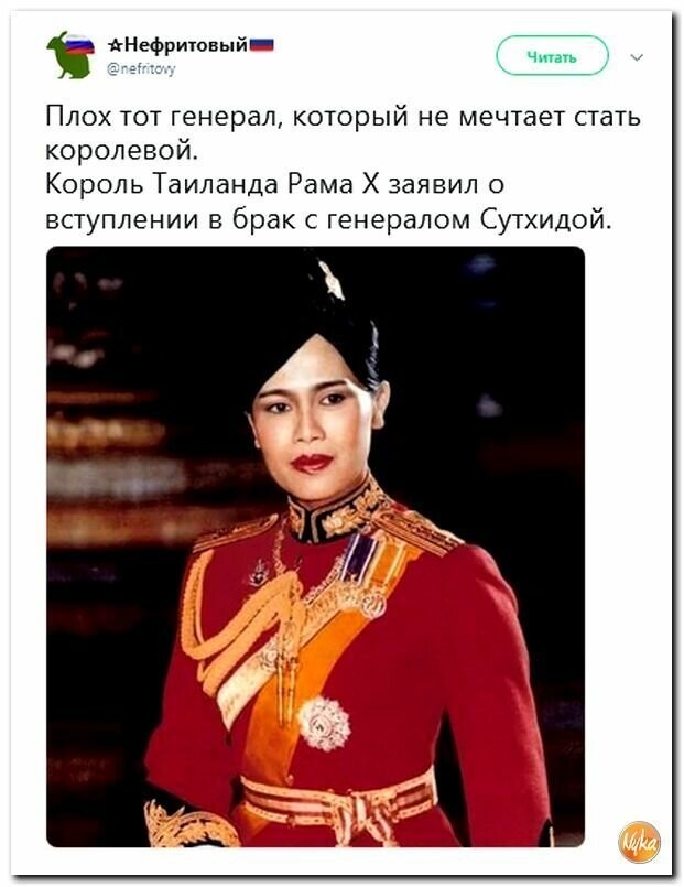 Политические картинки