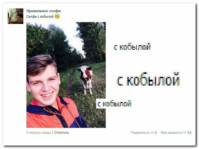 Смешные комментарии и картинки из соцсетей