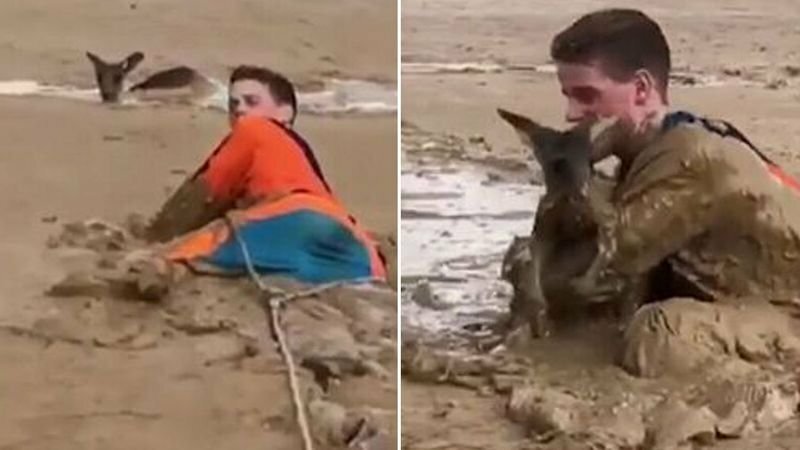 Австралийский подросток полез в грязь, чтобы спасти увязшего по уши кенгуренка