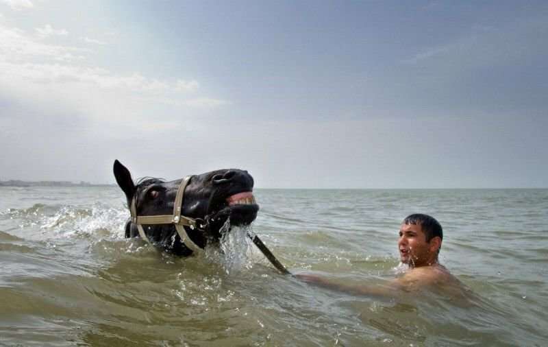 Мужчина купается со своей лошадью, Азербайджан.