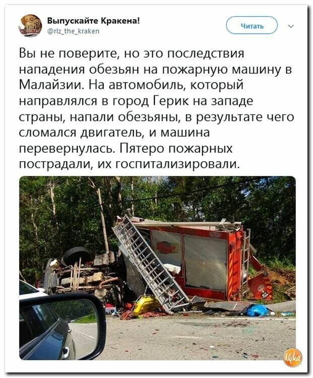 Политические картинки