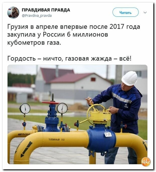 Политические картинки