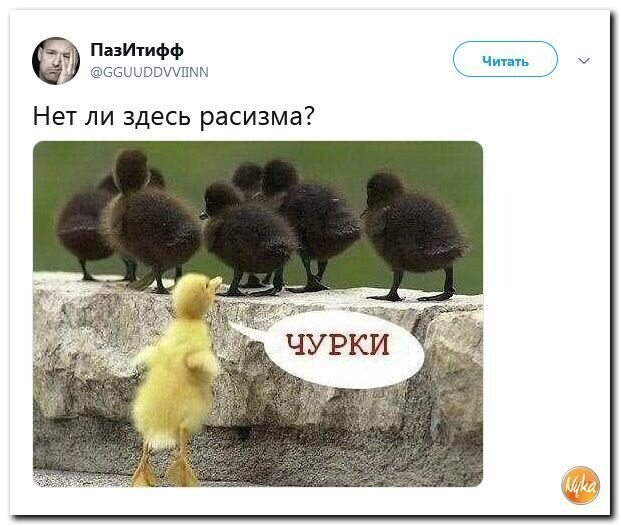 Политические картинки
