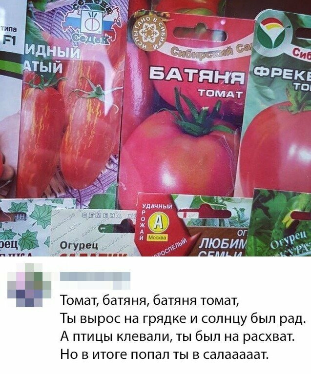 Скриншоты из социальных сетей