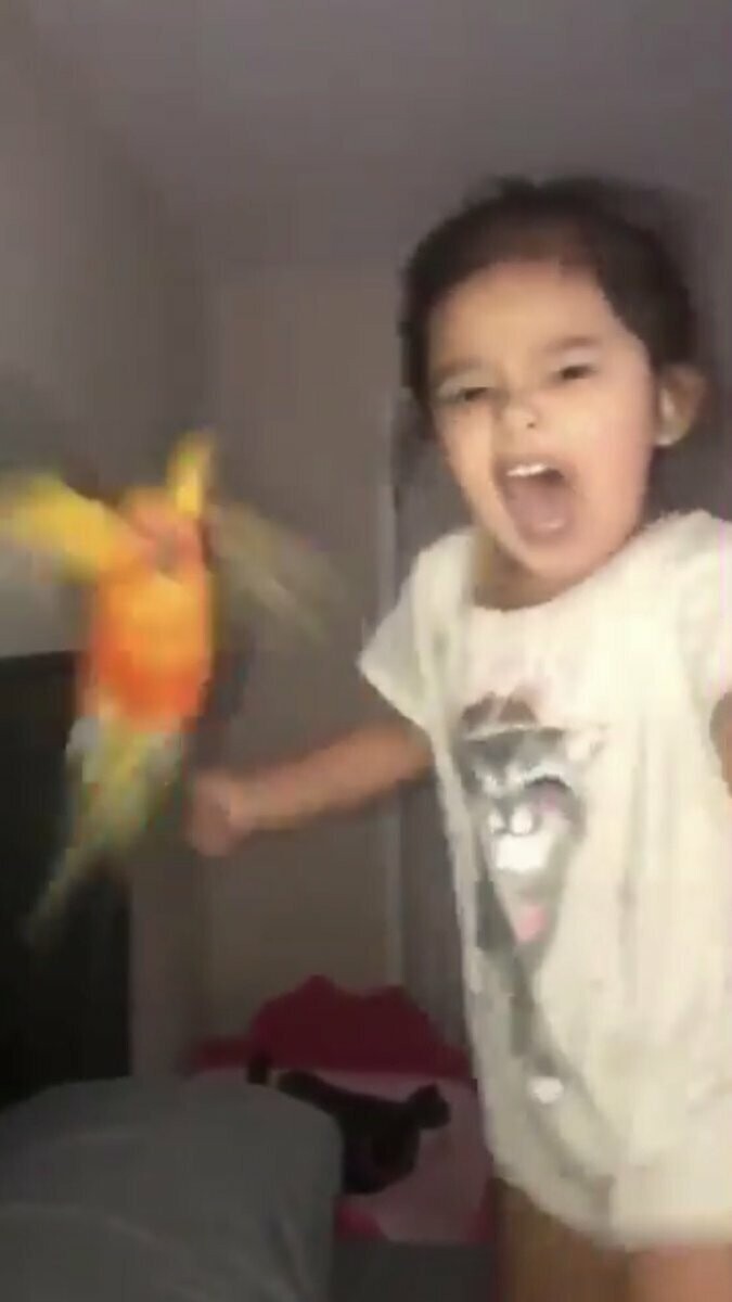 Девочка превратила попугая в боевое оружие и теперь она выглядит как настоящий суперзлодей