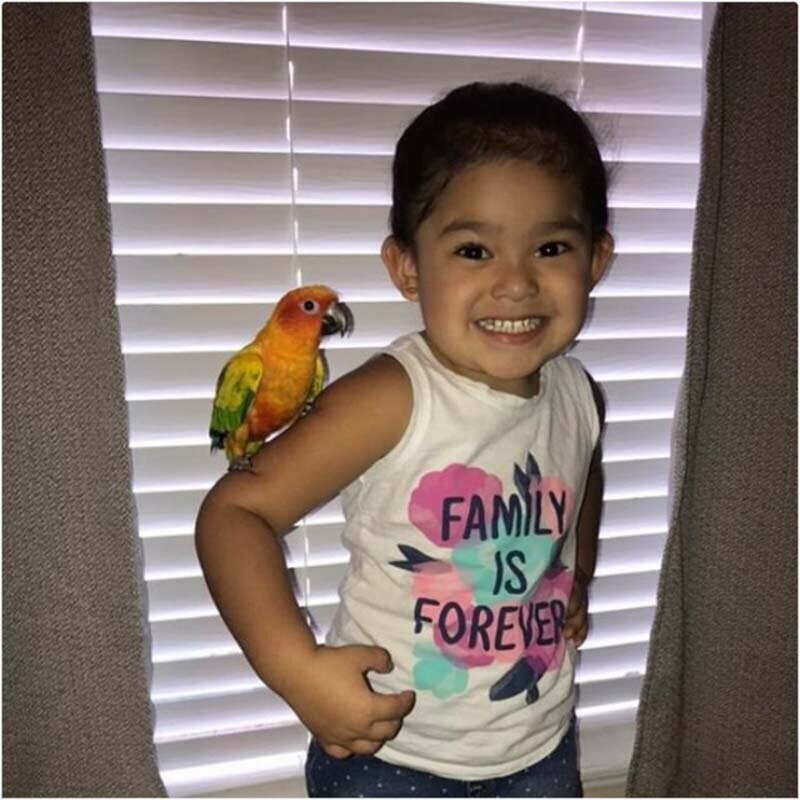  Один Twitter-пользователь недавно поделился видео со своей племянницей и её птицей