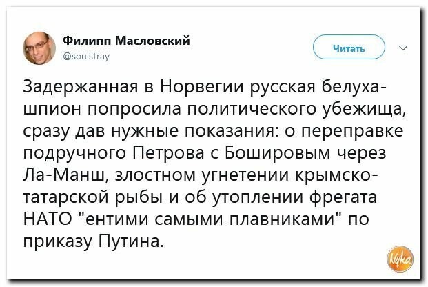 Политические картинки