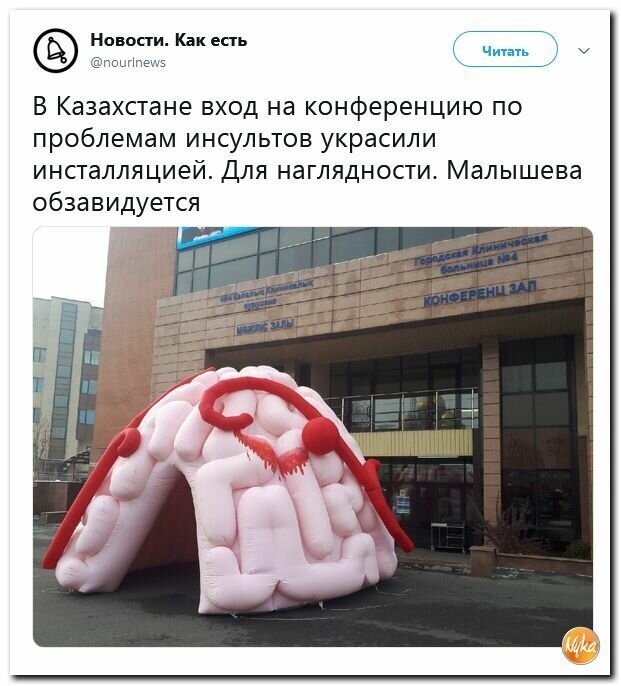 Политические картинки