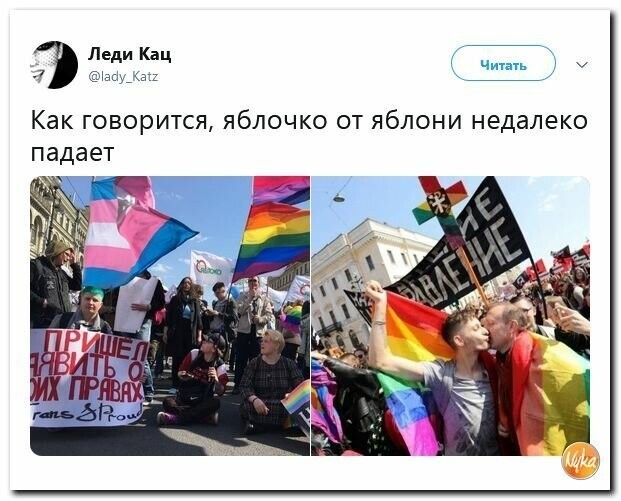Политические картинки