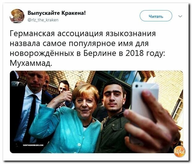 Политические картинки