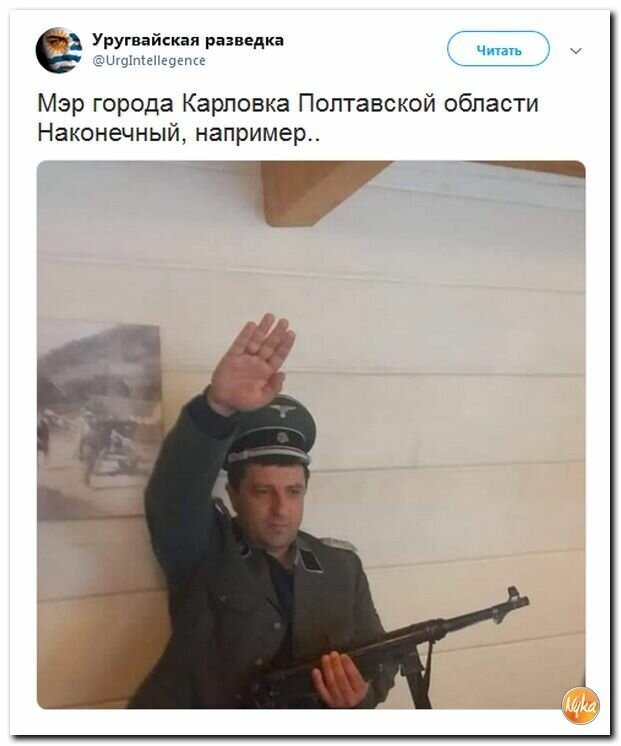 Политические картинки