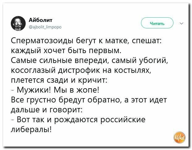 Политические картинки