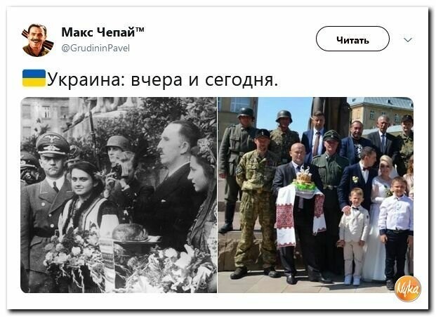 Политические картинки