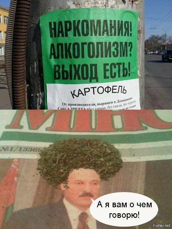 Солянка