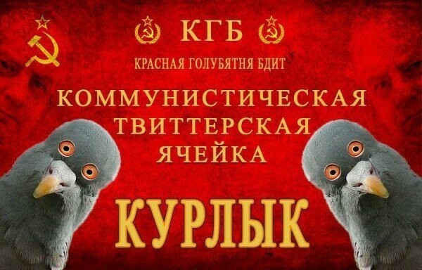 Красные кружевные трусики и ЕС