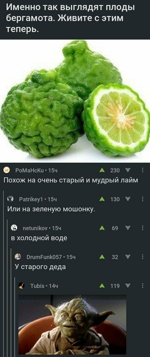 Прикольные и смешные картинки