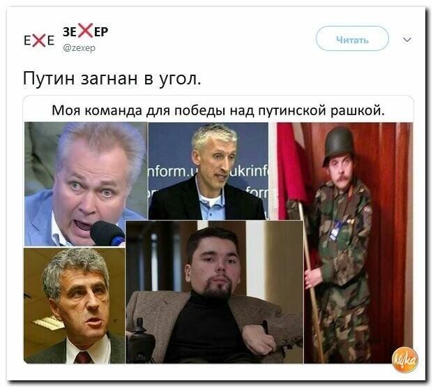 Политические картинки