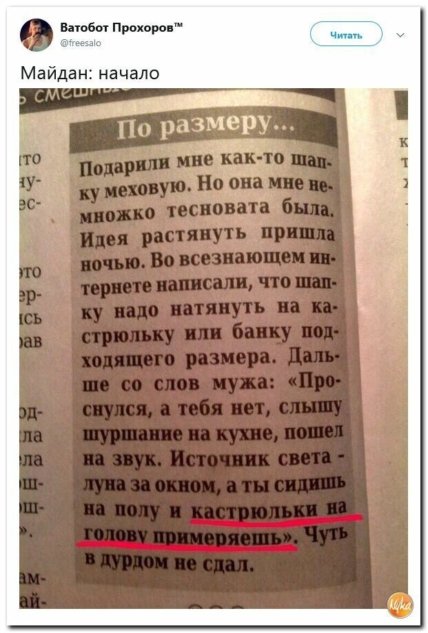 Политические картинки
