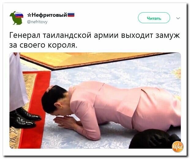 Политические картинки
