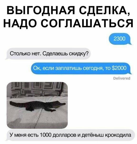 Прикольные и смешные картинки