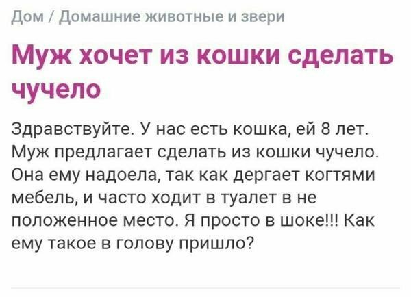 Картинки с надписями