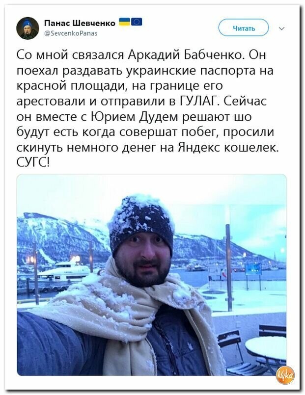 Политические картинки