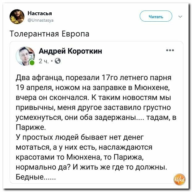 Политические картинки