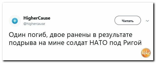 Политические картинки