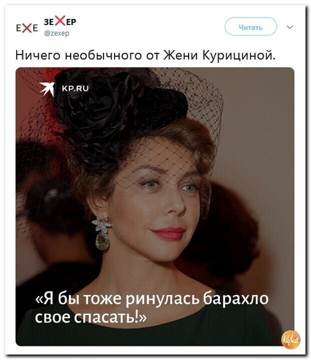 Политические картинки