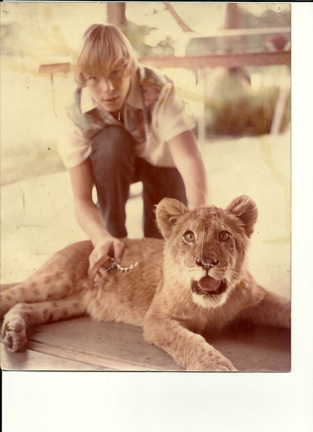 13. "Мой отец и его львица Присцилла, Калифорния 1970-е"