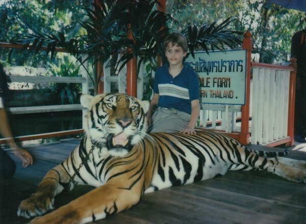 16. "Ваш покорный слуга (в возрасте 11 лет) гладит взрослого тигра"