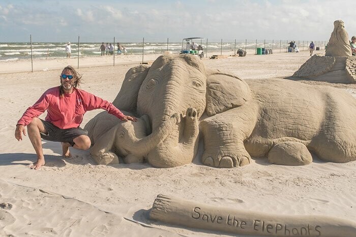 "Спасите слонов", Пол Хоггард