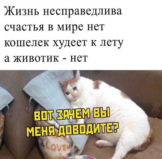 Прикольные и смешные картинки