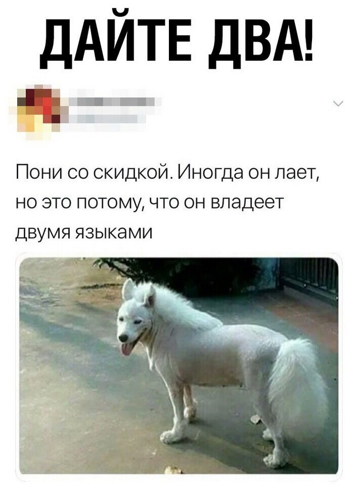 Скрины из социальных сетей