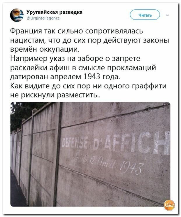 Политические картинки